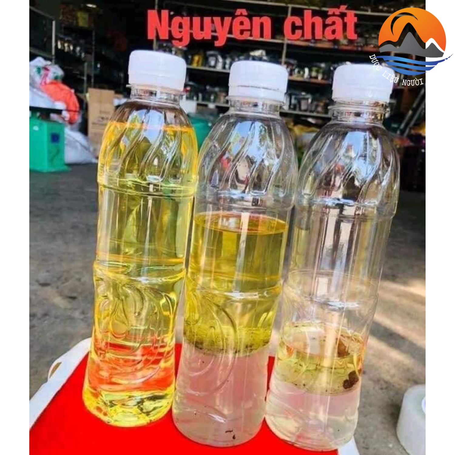 Tinh dầu sả java nguyên chất (chai 500ml) chưng cất thủ công thơm, khử mùi, đuổi côn trùng - Tinh dầu xả xã Java Mường Tè