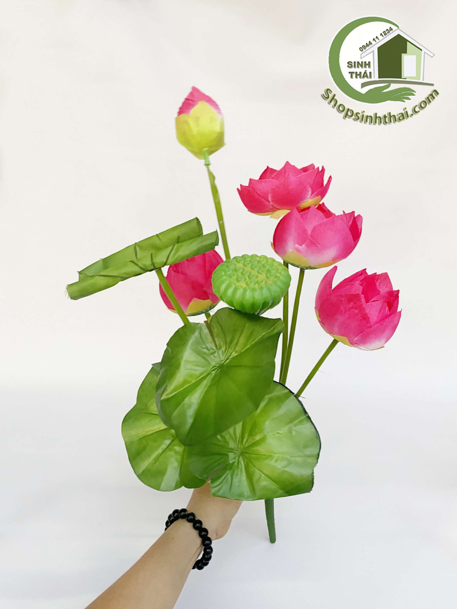 Hoa sen giả - Bụi sen lá cuốn lớn