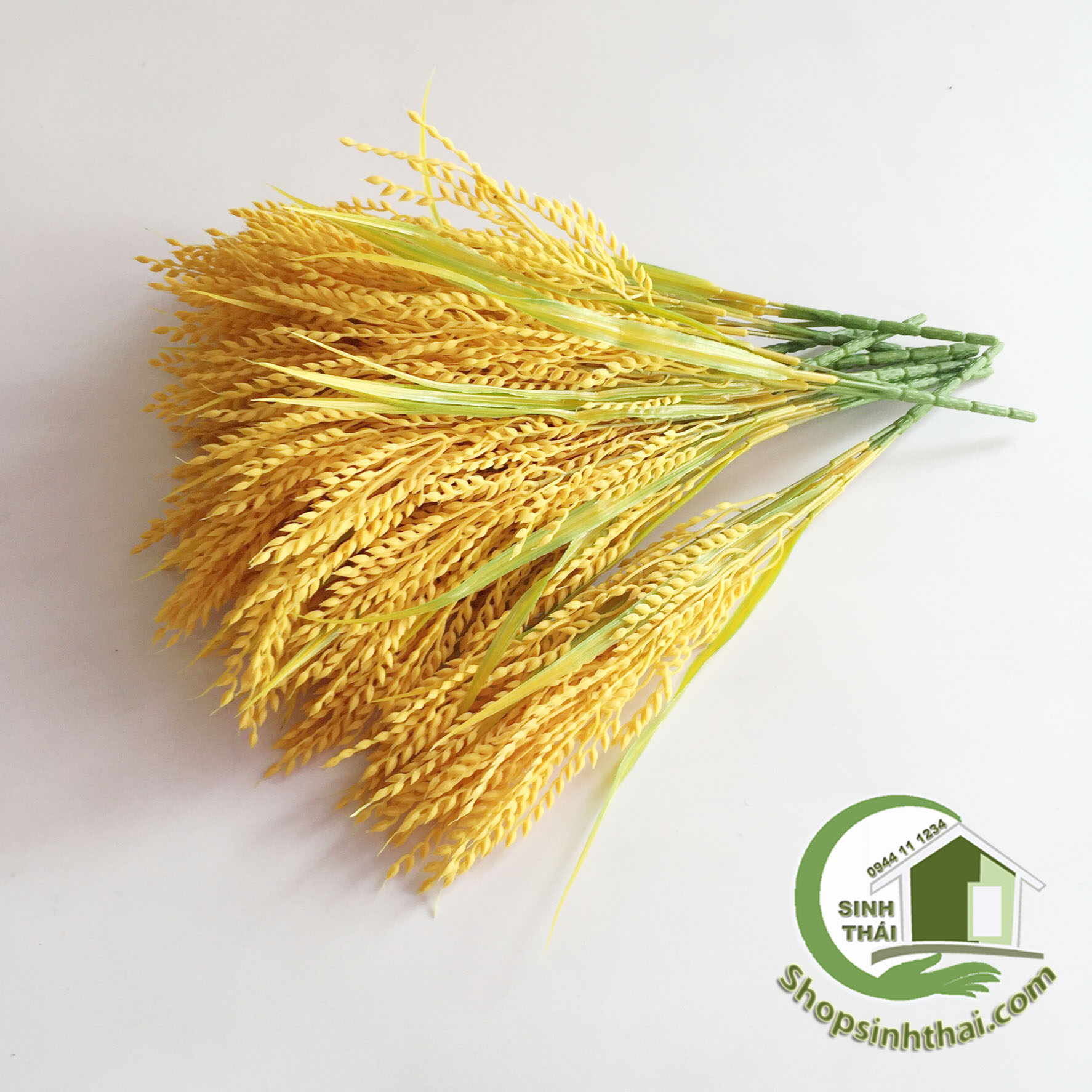 [HCM]Bụi Cây Bông Lúa Vàng Cao 50cm - Bụi Cỏ Lúa Vàng [ 1 bụi ]