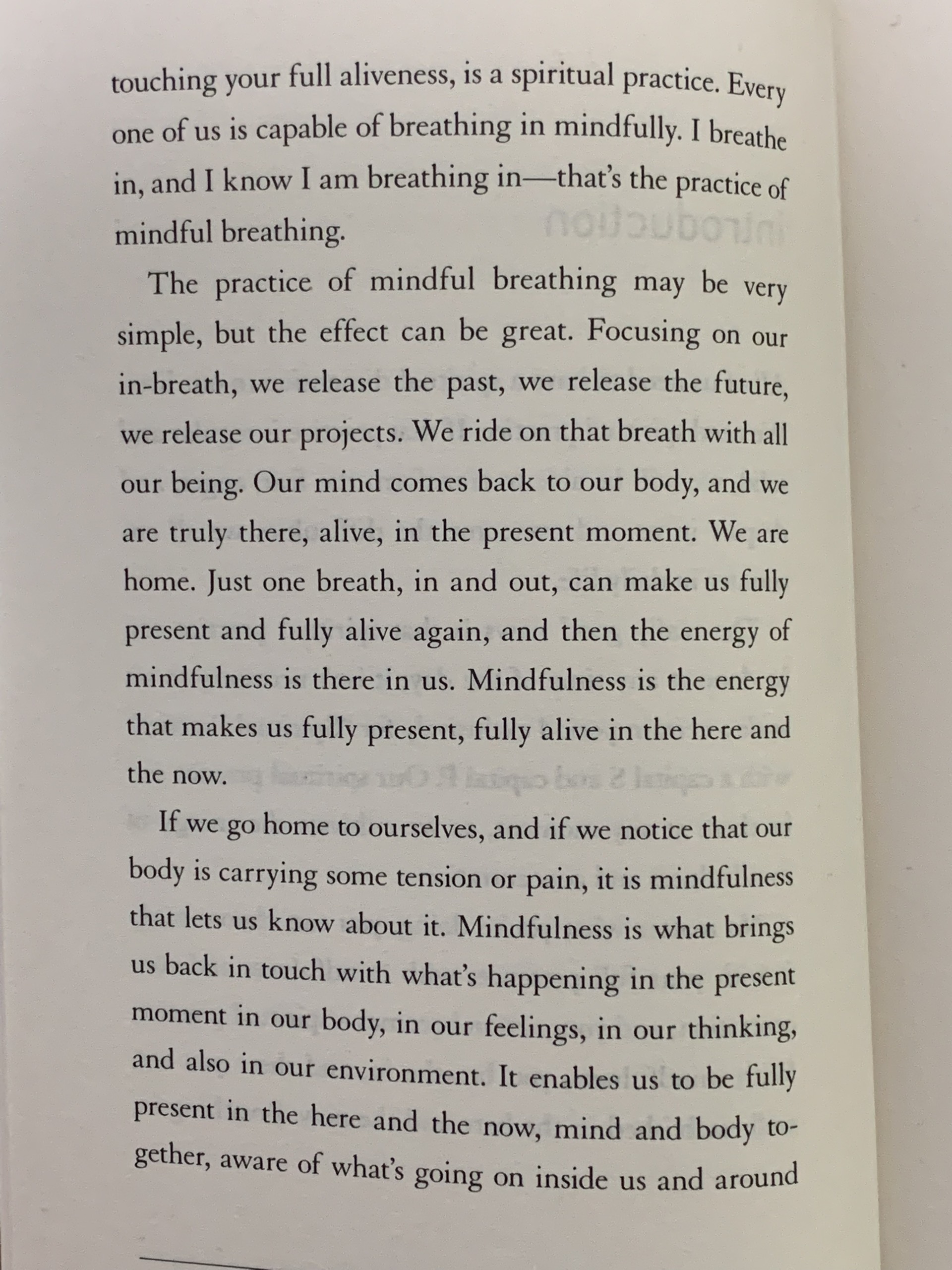 Peace Is Every Breath ( Thích Nhất Hạnh )
