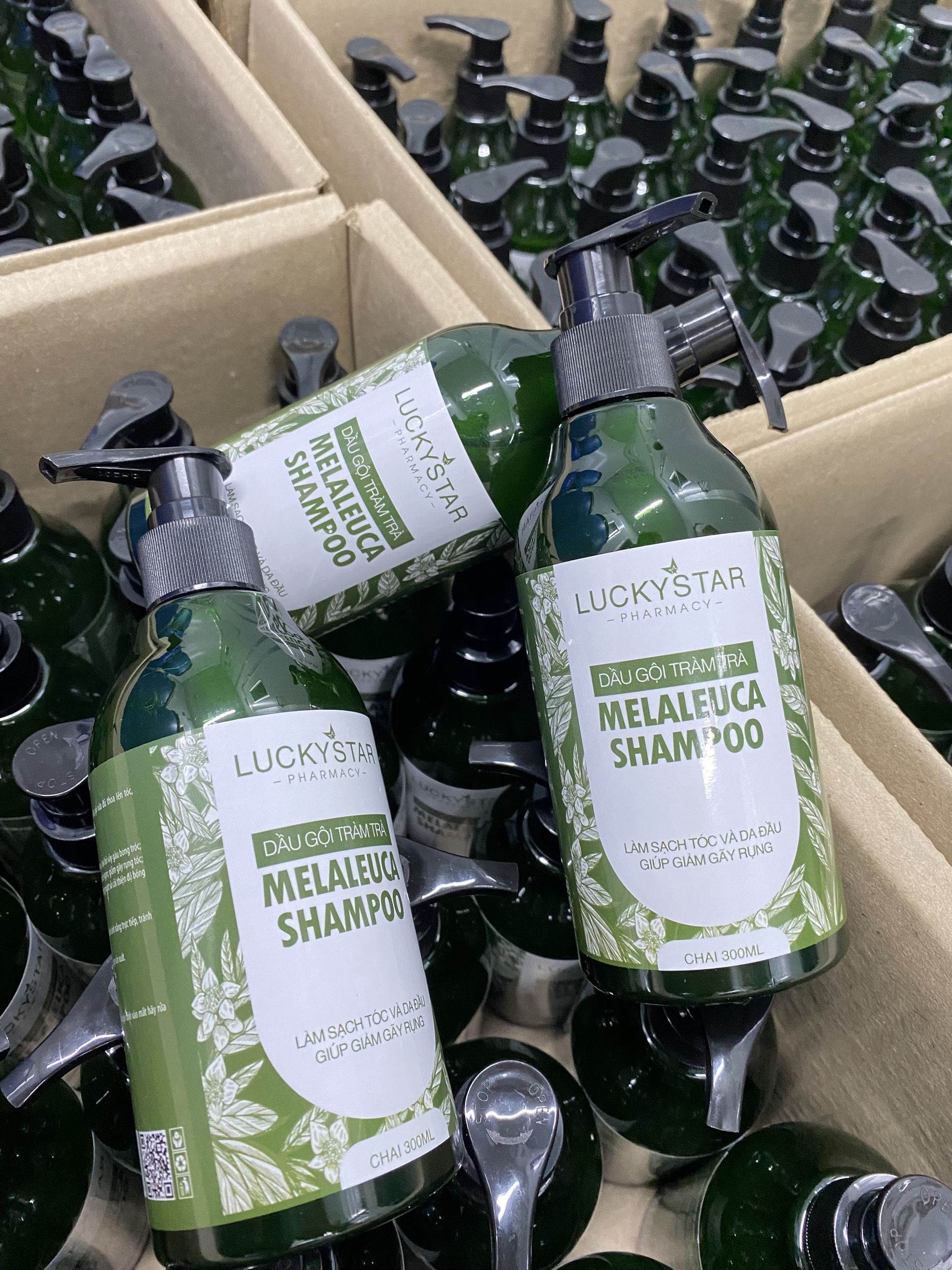 [MUA DẦU GỘI TẶNG TBC] Dầu Gội Tràm Trà 300ml - Lucky Star