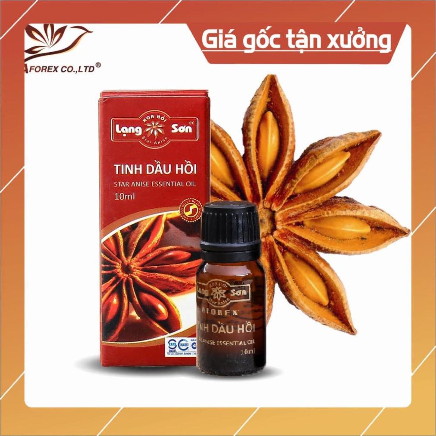 (Date xa) Tinh dầu Hoa Hồi Aforex 10ml đặc sản Lạng Sơn