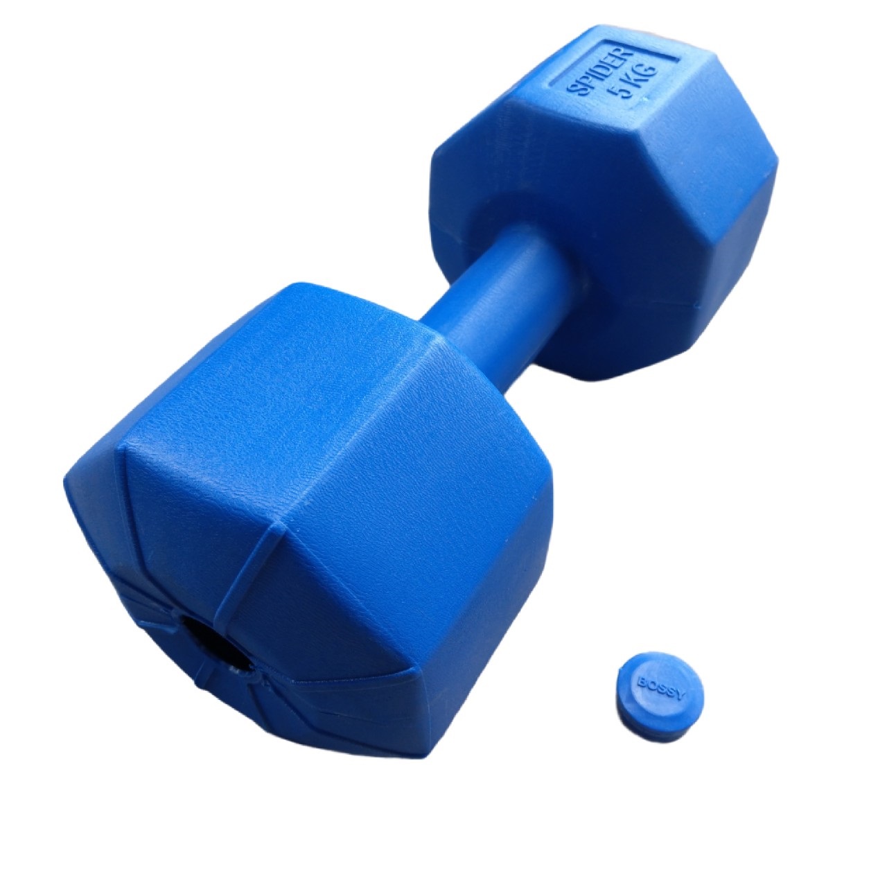 Vỏ tạ tay nhựa 5kg bát giác (vỏ tạ 5kg chưa nhồi)