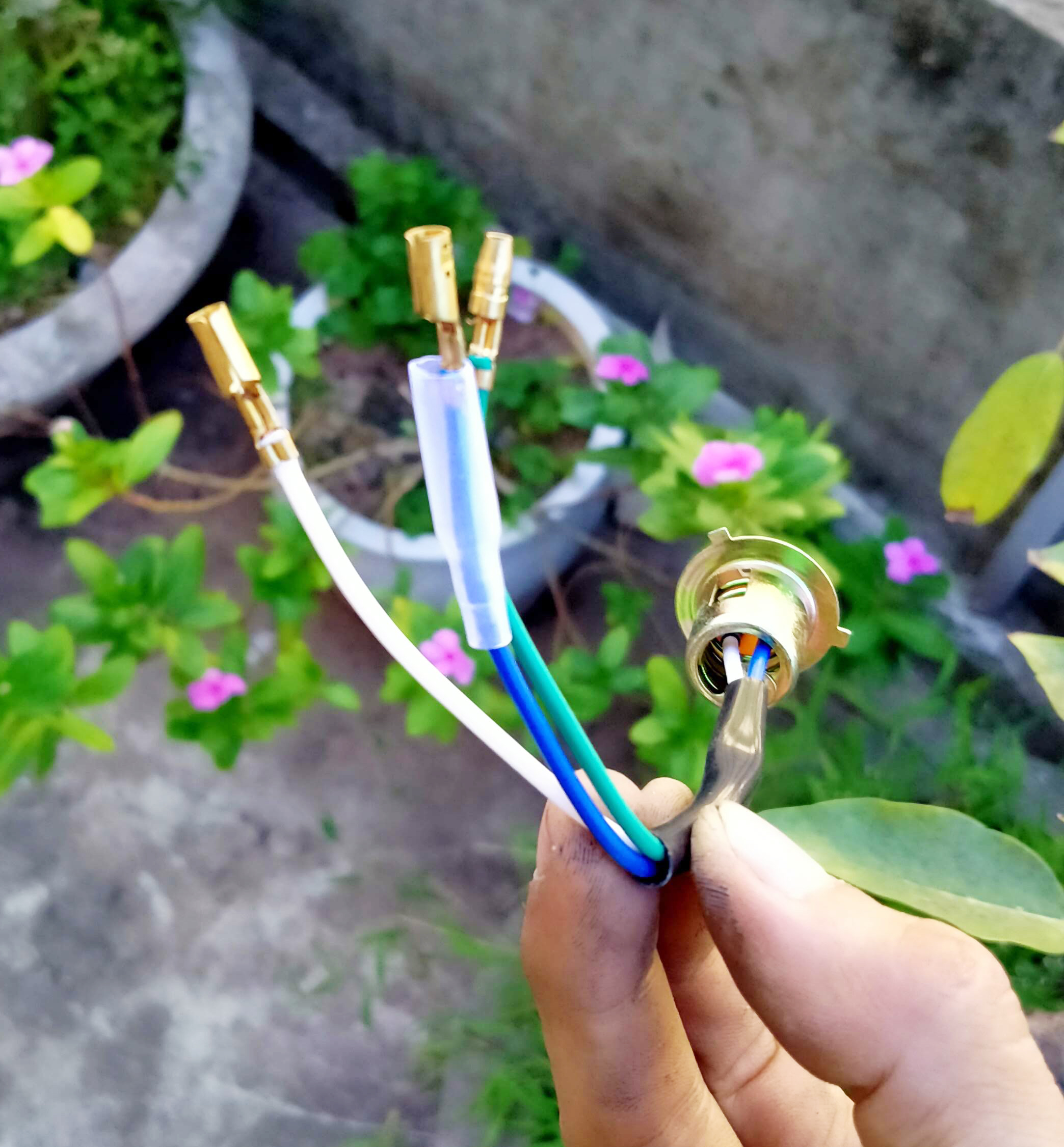 Đui đèn pha xe cub , dream, wave đời đầu