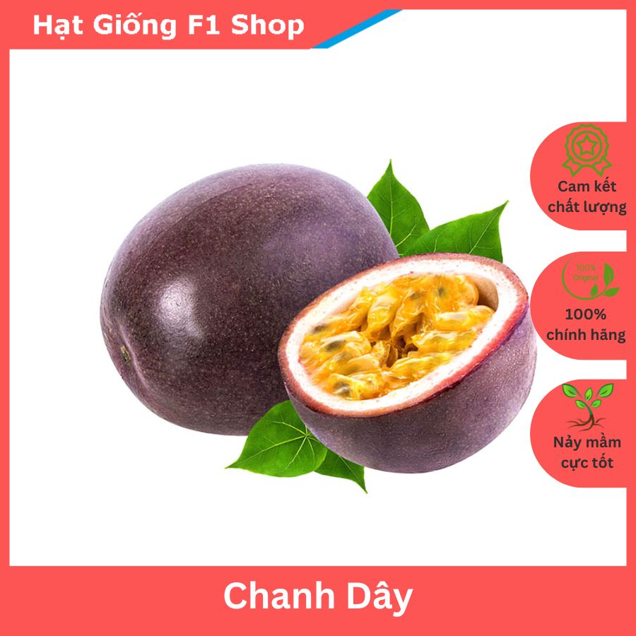 Hạt Giống Chanh Dây Trái Tím