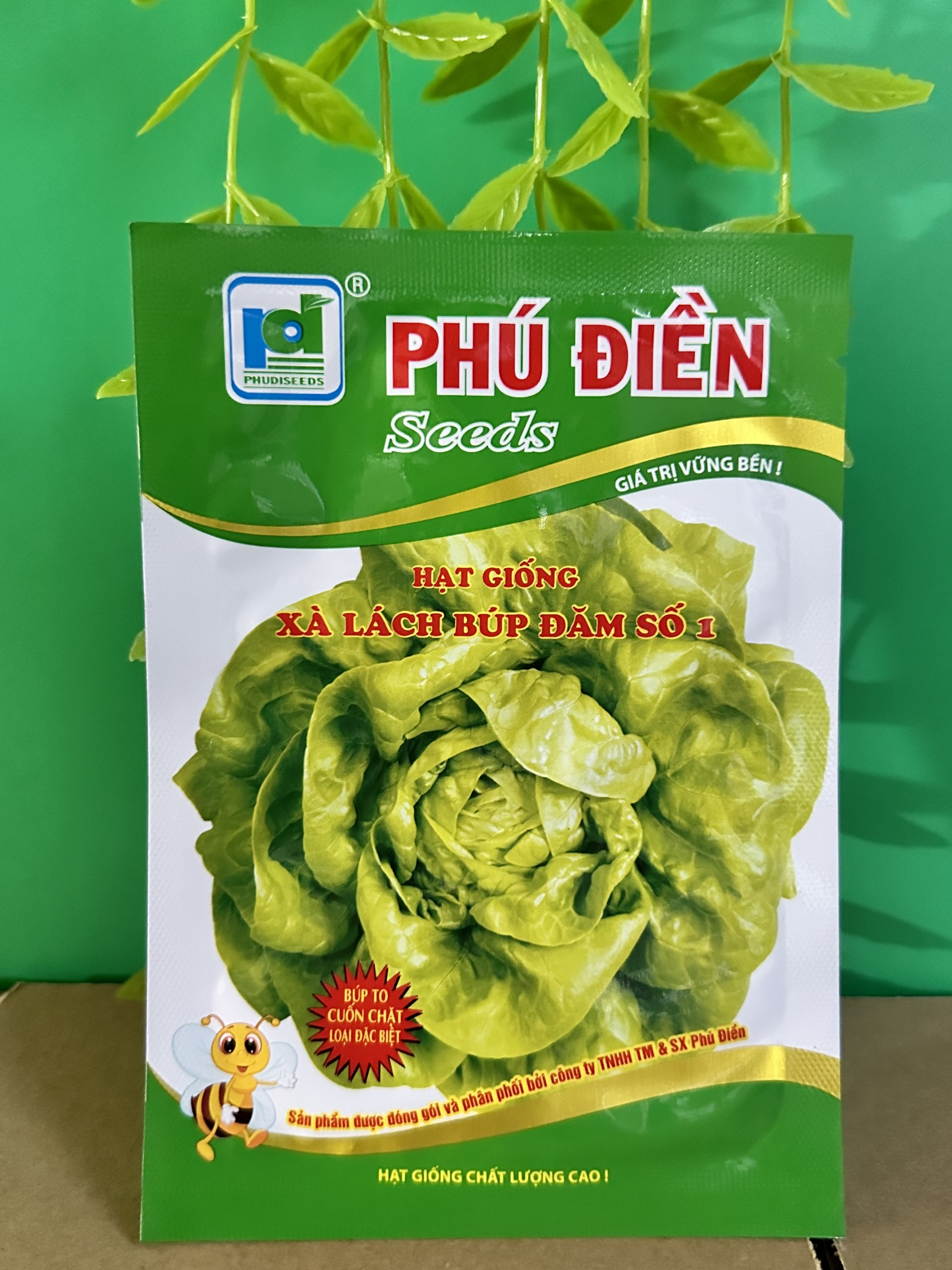Hạt giống rau xà lách Đăm số 1