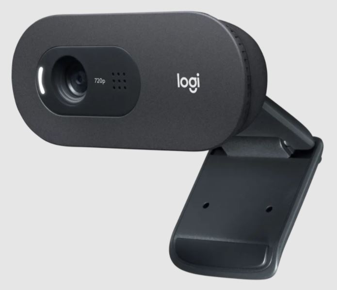 Webcam LOGITECH C505E