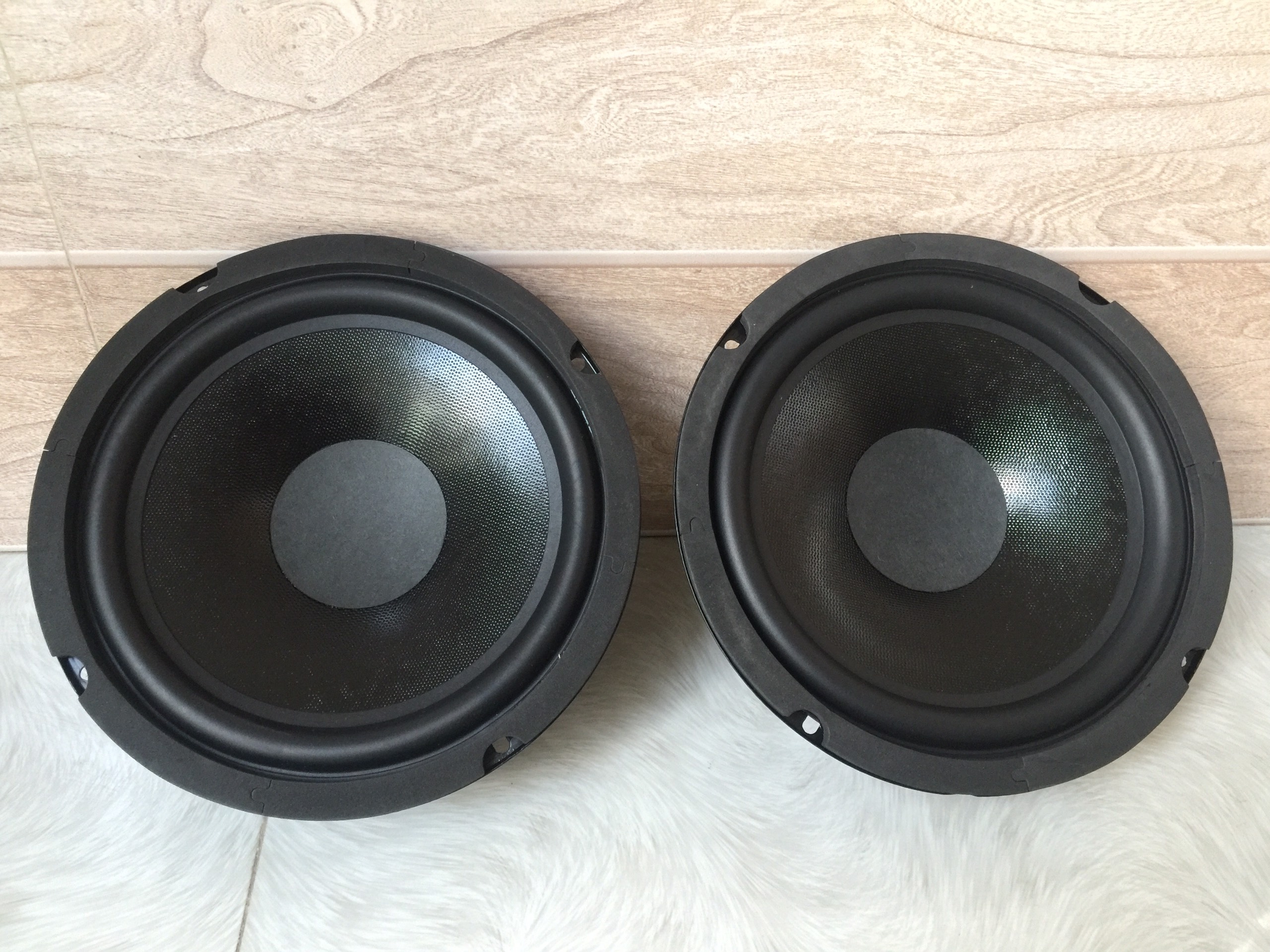 Loa bass 2 tấc từ đôi