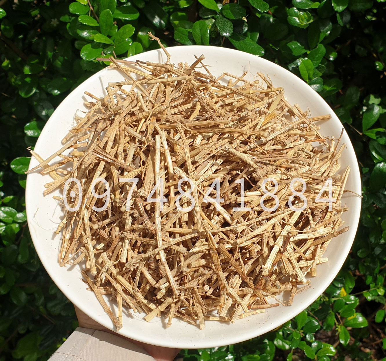 [Tết 2022]500g Rễ cỏ tranh khô