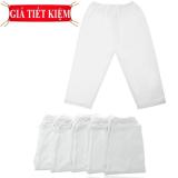 Bộ 5 quần dài thun cotton size 9 Baby Q & N loại tốt cho bé