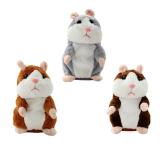 [HCM]Chuột Hamster biết nói