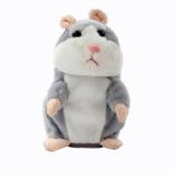 [HCM]Chuột Hamster biết nói