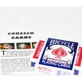 Đồ chơi ảo thuật hộp bài chữ thập + dvd hướng dẫn miễn phí