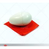 [HCM]Đồ chơi ảo thuật Khăn thành trứng