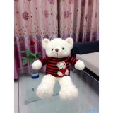 Gấu Bông Teddy Cao Cấp Hàng Vnxk Size S(Kem)