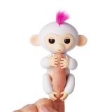 Khỉ bám ngón tay Fingerlings Monkey
