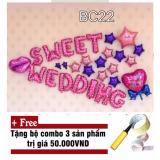 SET BÓNG CƯỚI TRANG TRÍ PHÒNG TÂN HÔN (BC22)