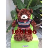 Gấu bông Teddy cao cấp cao 50cm