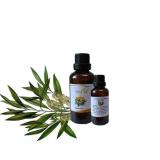 Tinh dau tram - Tinh dầu tràm gió 10ml