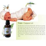 Tinh dau tram - Tinh dầu tràm gió 10ml