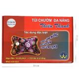 Túi chườm đa năng Thiên Thanh size lớn 33x24x7 (Xanh dương)