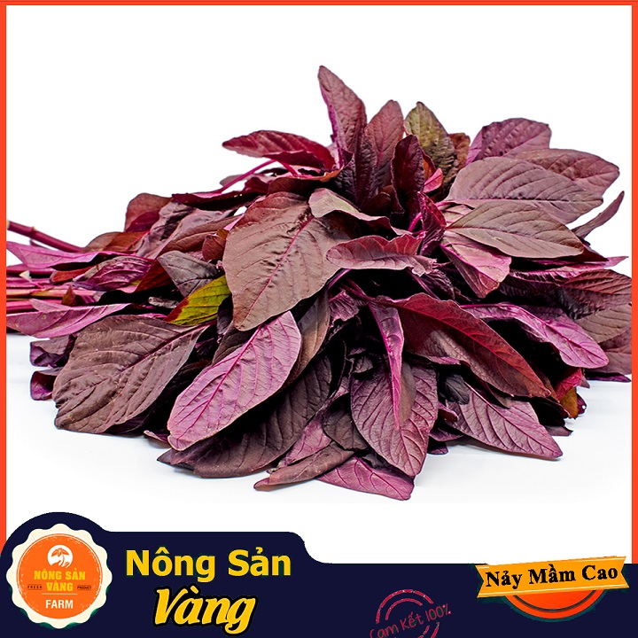 [HCM]Hạt giống Rau Dền Đỏ ( Gói 20 Gram ) - Nông Sản Vàng