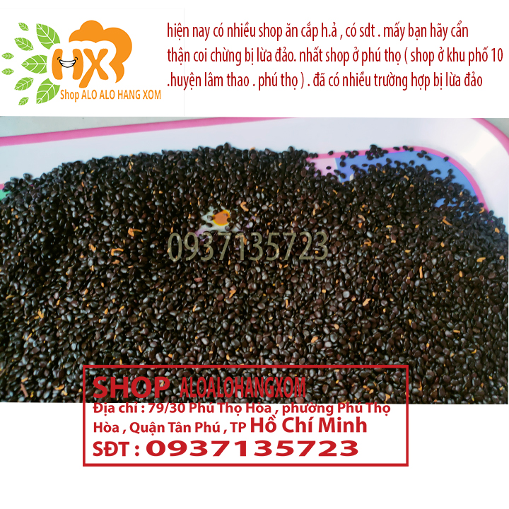 hạt giống cây tràm lai - 1000 gram