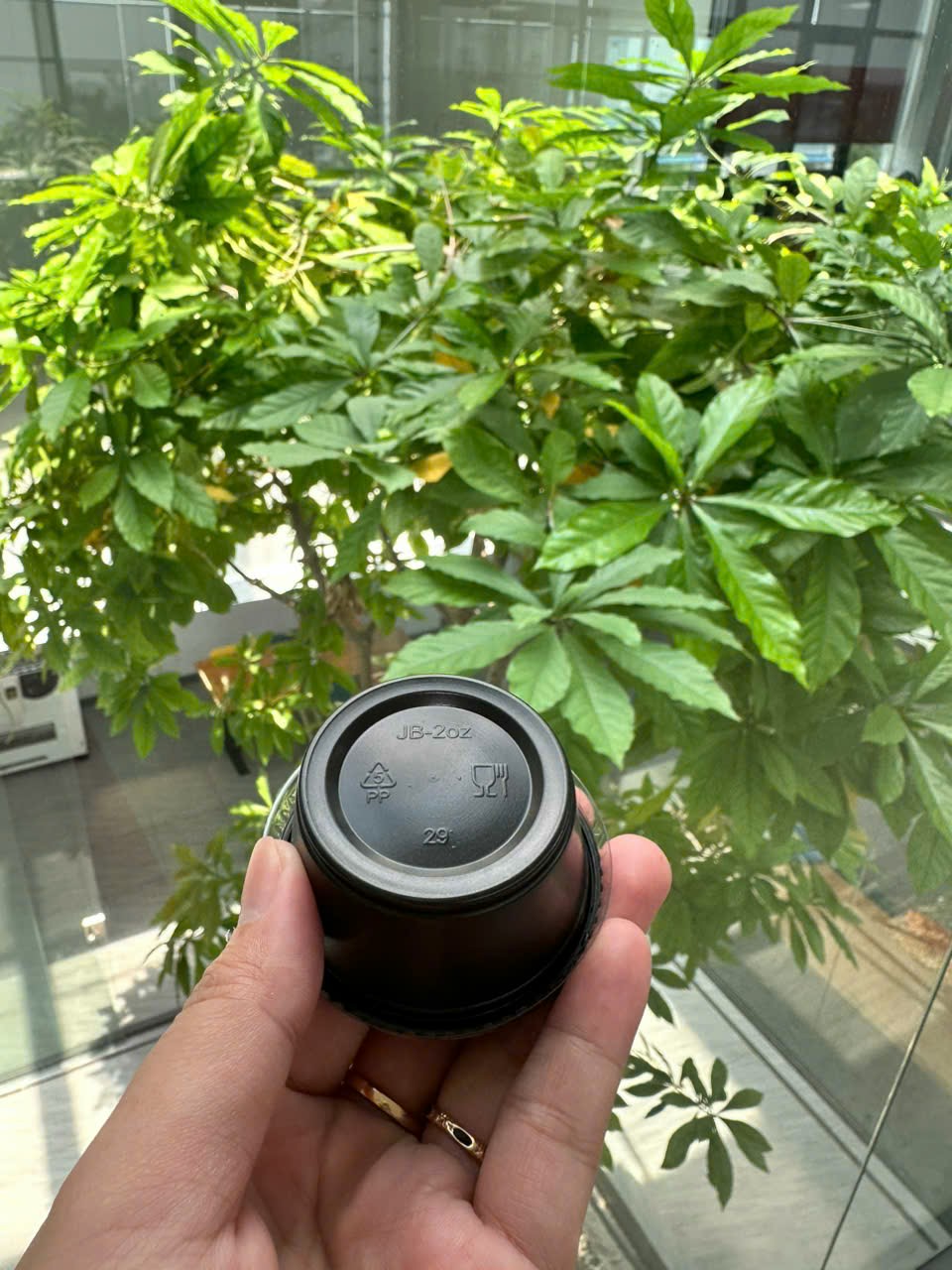 Hủ chấm, hủ sốt 2oz (=60ml) ( 1 cây 100 hủ + 1 cây 100 nắp)