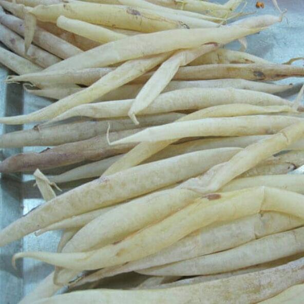 khô Bong bóng cá quả 500gr
