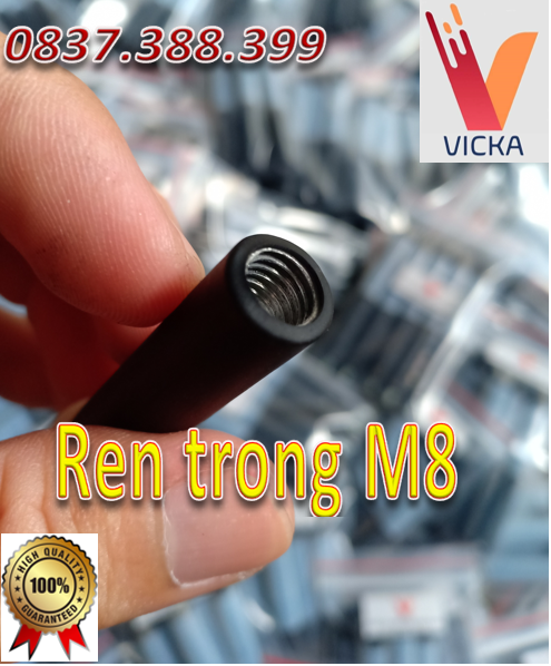 Chổi tẩy mối hàn Inox điện hóa (REN TRONG M8)