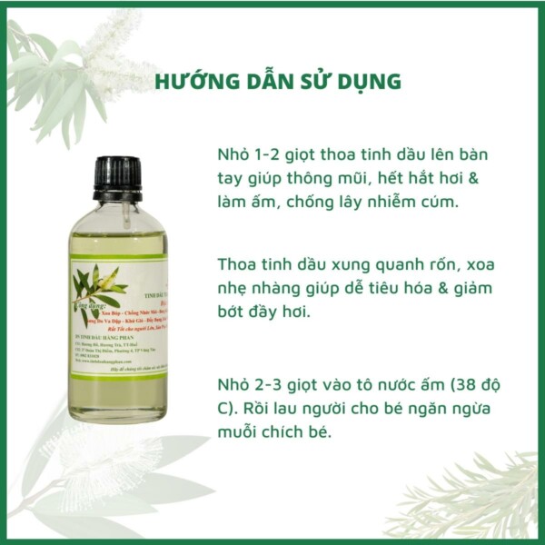 TINH DẦU TRÀM GIÓ - ĐẶC SẢN XỨ HUẾ