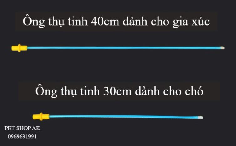 Ống thụ tinh nhân tạo cho chó (vô trùng) 10 chiếc