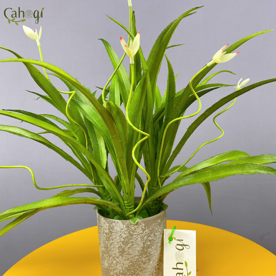 Cây Giả Cây Lan Chi 2 Nụ
