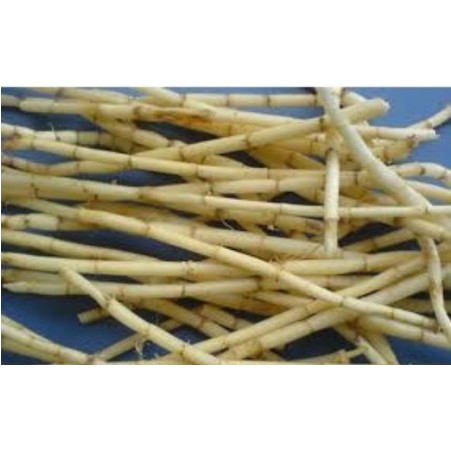 [GIÁ TỐT] 1kg rễ cỏ tranh khô ( bạch mao căn ) hàng looại 1