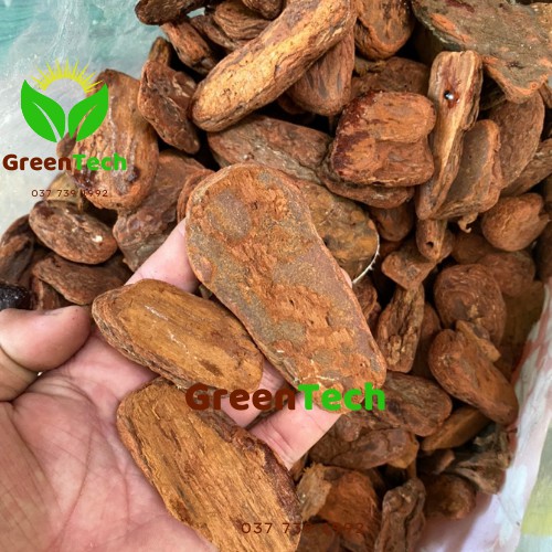 Vo Thông 1 - 5cm Đã Qua Xử Ly ORCHIDS BARK 1kg