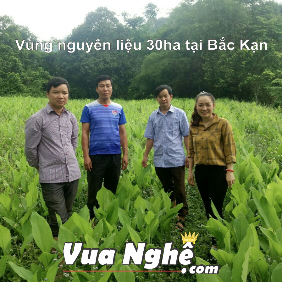 Tinh bột nghệ đen nguyên chất - 100g
