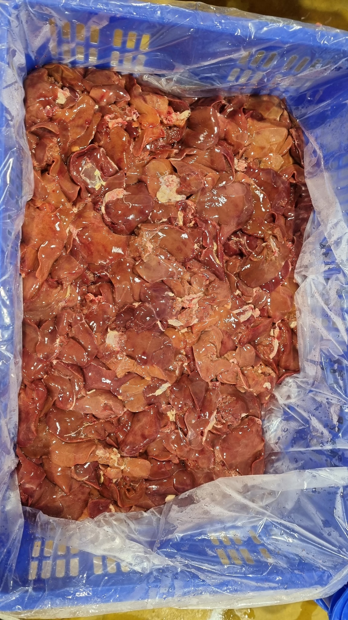 Gan Gà Tươi Ngon Cho Chó Mèo