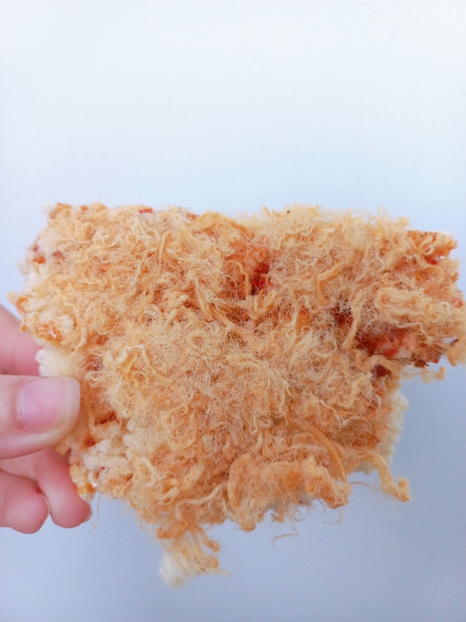 Cơm cháy đáy nồi - cơm cháy chà bông túi 200g