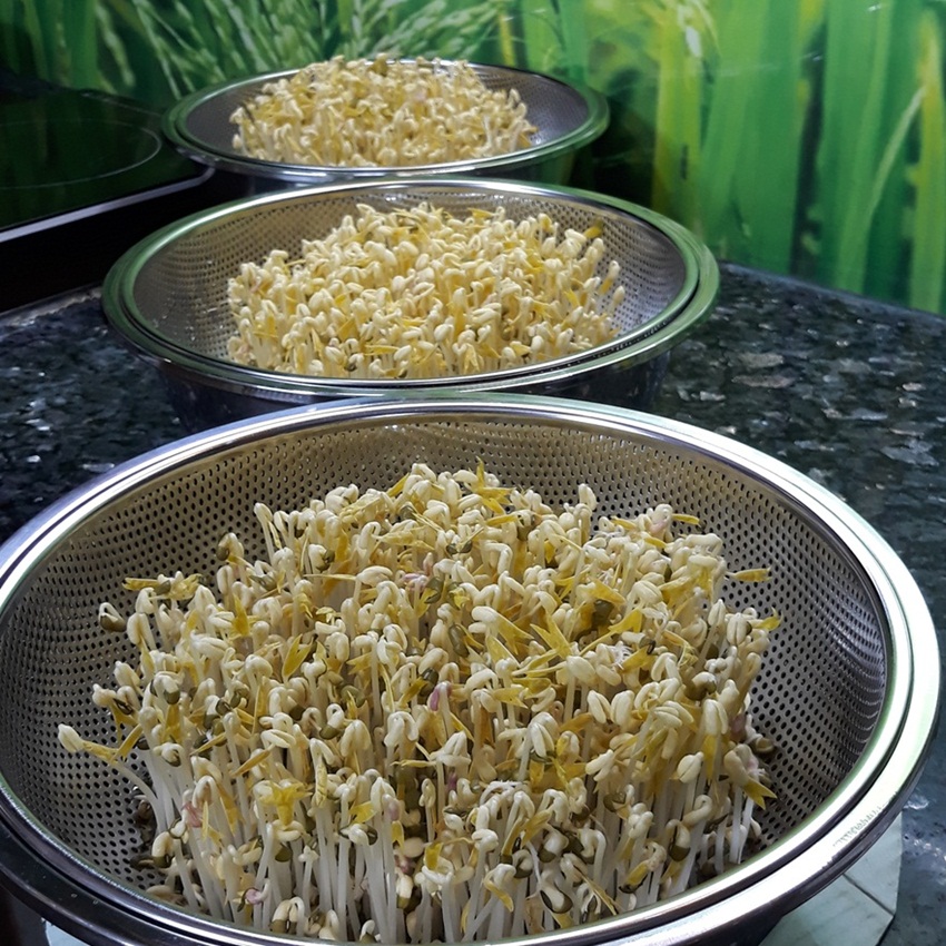 Dụng cụ làm giá bằng inox Phương My