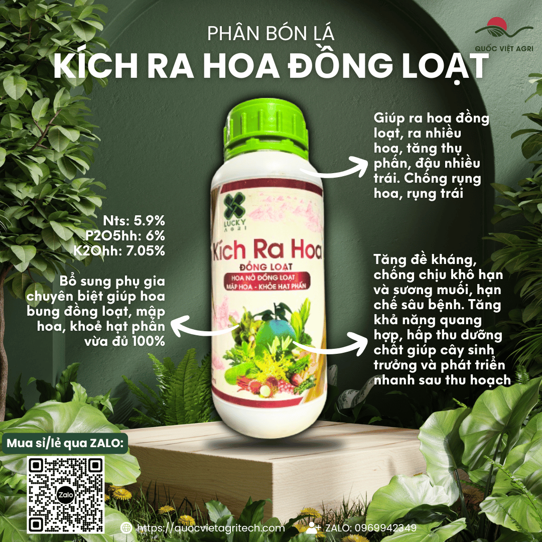 Phân bón lá NPK KÍCH RA HOA ĐỒNG LOẠT (chai 500ml) - Mập hoa, Khoẻ hạt phấn