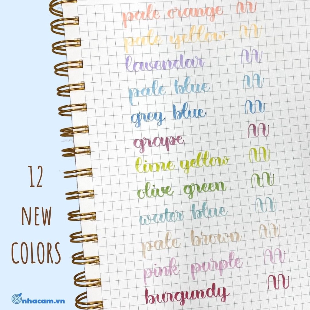Bộ 12 màu bút viết thư pháp soft brush sign pen nhà cam