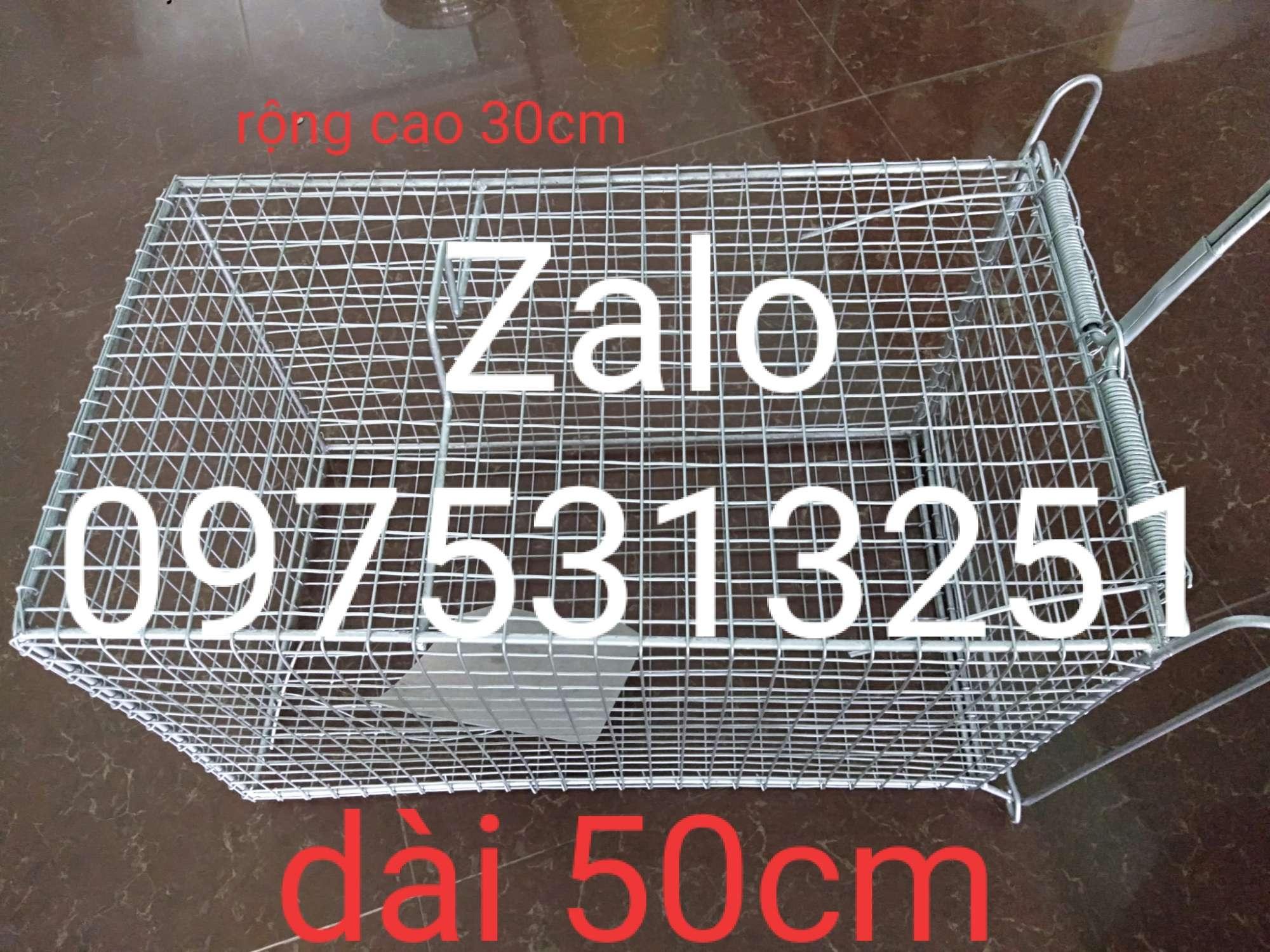 Bẫy mèo hoang cỡ đại