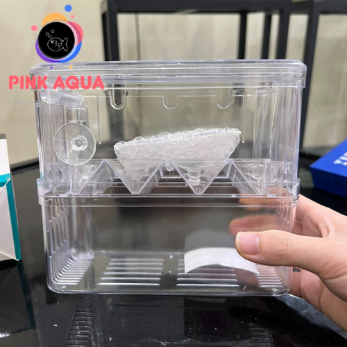 Lồng cá đẻ Mica đơn đôi trong suốt cho cá cảnh thủy sinh