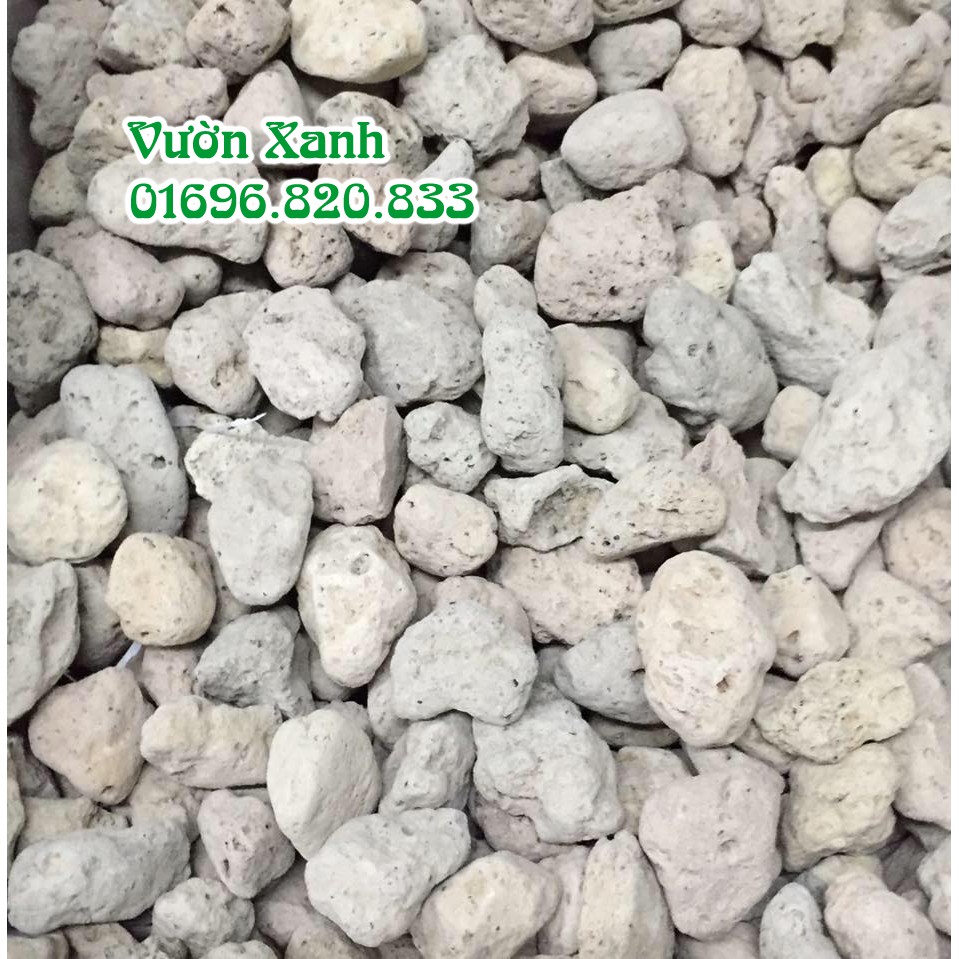 Đá bọt nhẹ, thoáng, giữ ẩm rất tốt cho lan size 1-2 cm