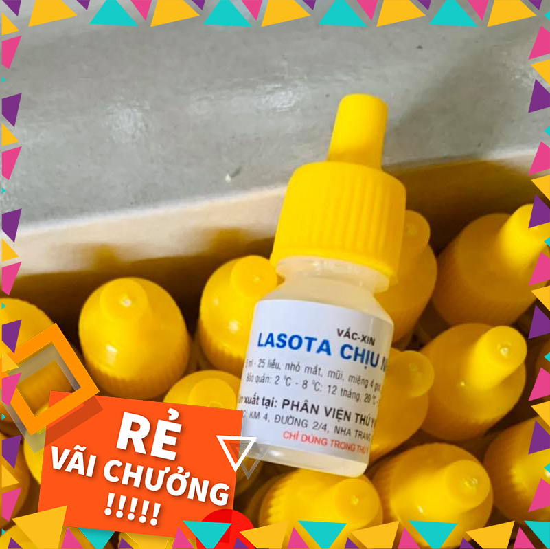 Vacin lasota chịu nhiệt loại 5ml 25 liều