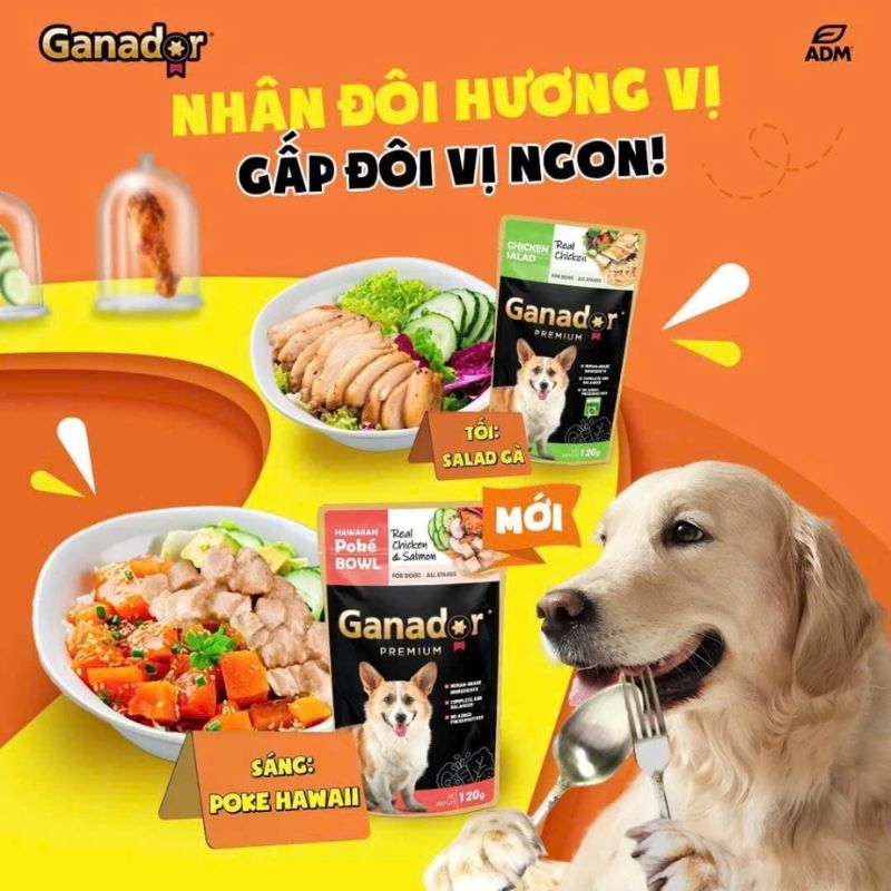 Pate Ganador Chó Mọi Lứa Tuổi Thịt Gà