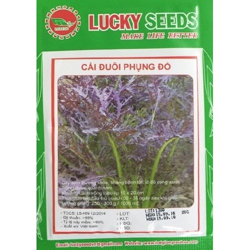 Hạt giống rau cải đuôi phụng đỏ CT343 - Gói 20gram