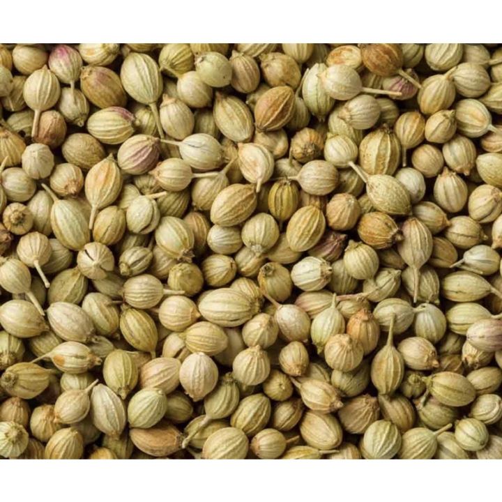 1kg hạt ngò dùng làm gia vị nấu phở, cà ri, ướp thịt, nấu nước sâm ăn vặt ngon