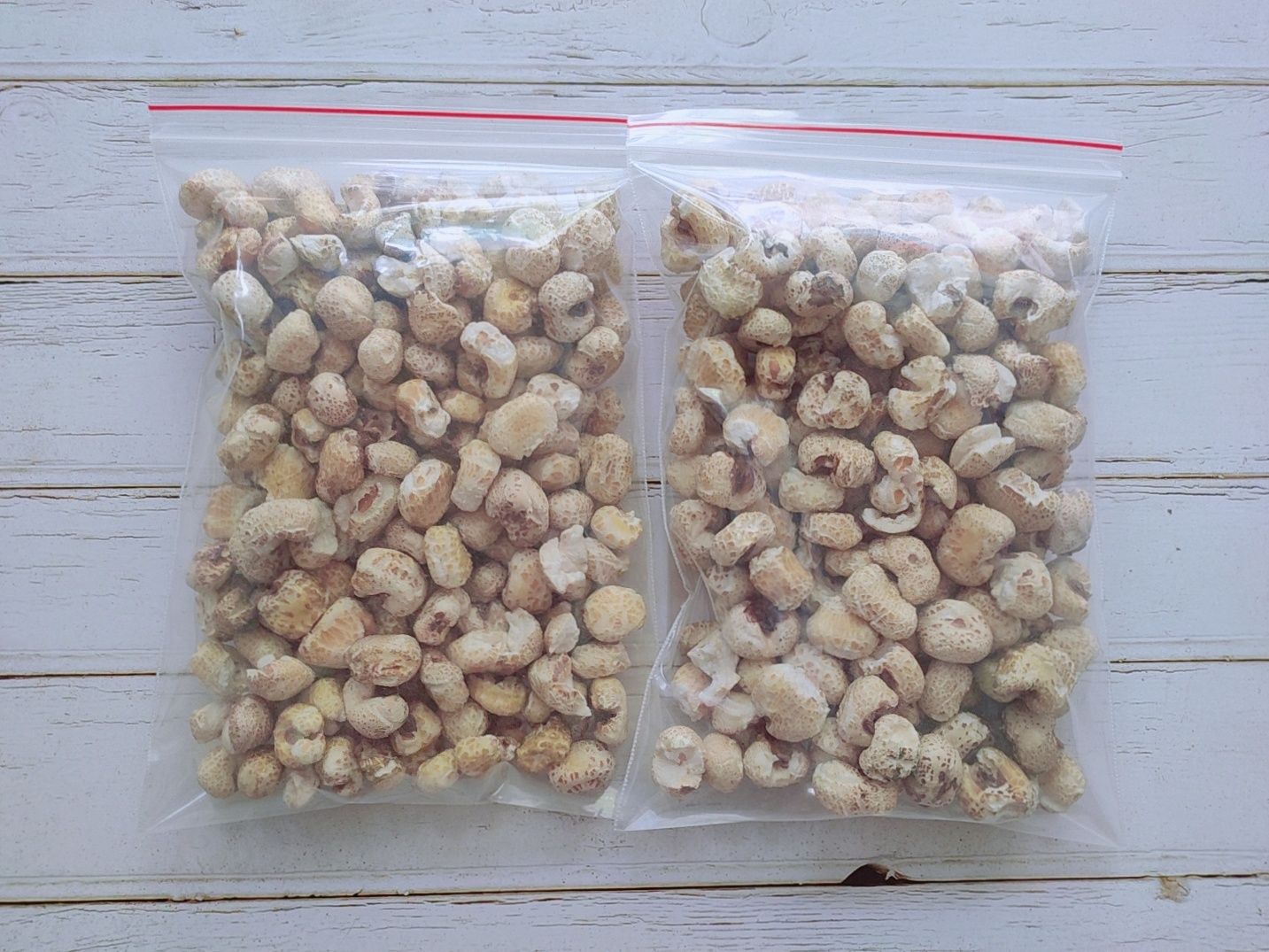 Bắp nổ- thức ăn cho hamster,thú cưng (50gr)