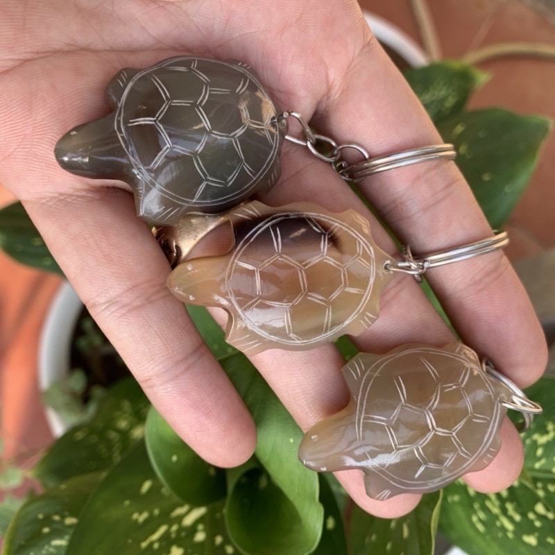 Combo 3 chiếc móc khóa hình con Rùa được tỉa khắc tỉ mỉ - OTH016